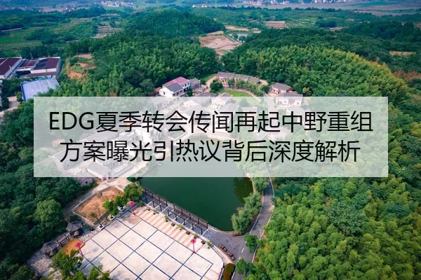 EDG夏季转会传闻再起中野重组方案曝光引热议背后深度解析