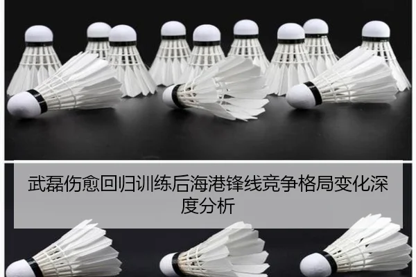 武磊伤愈回归训练后海港锋线竞争格局变化深度分析
